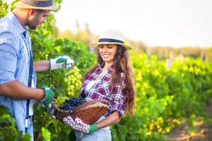 farmer couple dating