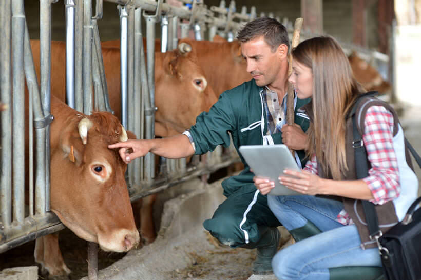 farmer dating