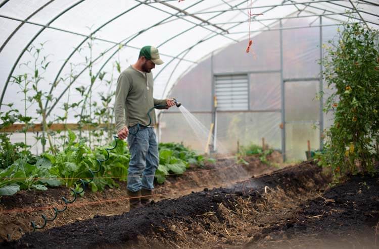 Farmer Watering His Crops